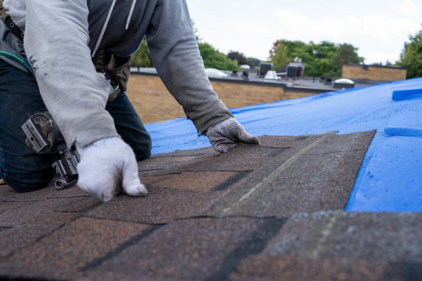Best Storm Damage Roof Repair  in Broadview, IL