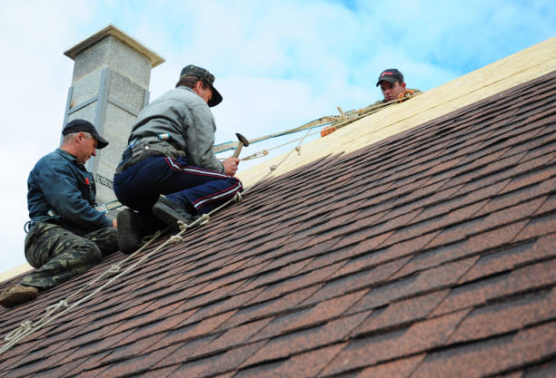 Best Metal Roofing Contractor  in Broadview, IL